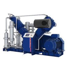 Компрессор поршневой DALGAKIRAN PETMASTER 125 VSD Компрессор поршневой DALGAKIRAN PETMASTER 125 VSD