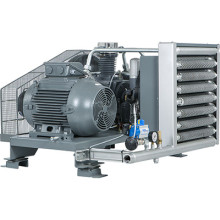 Компрессор поршневой DALGAKIRAN DBK-30 (O)