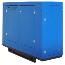Дизельная электростанция АД-12С-Т400-1РПМ11 Дизельная электростанция АД-12С-Т400-1РПМ11