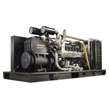 Газовый генератор PRAMAC Continious power GGW625MA