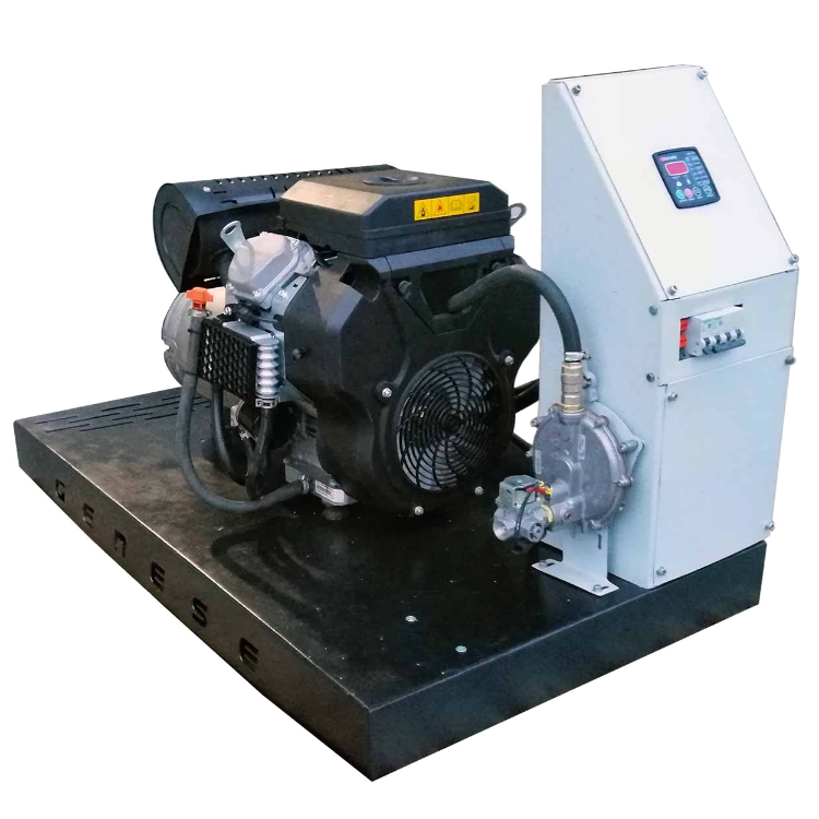 Газовый генератор Genese Standard 10000 (открытое исполнение) Газовый генератор Genese Standard 10000 (открытое исполнение)