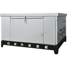 Газовый генератор Genese GE240 (в шумозащитном кожухе)