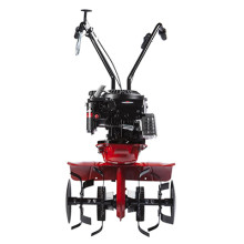 Мотокультиватор Eurosystems Z-3 RM B&S Series 625 Мотокультиватор Eurosystems Z-3 RM B&S Series 625