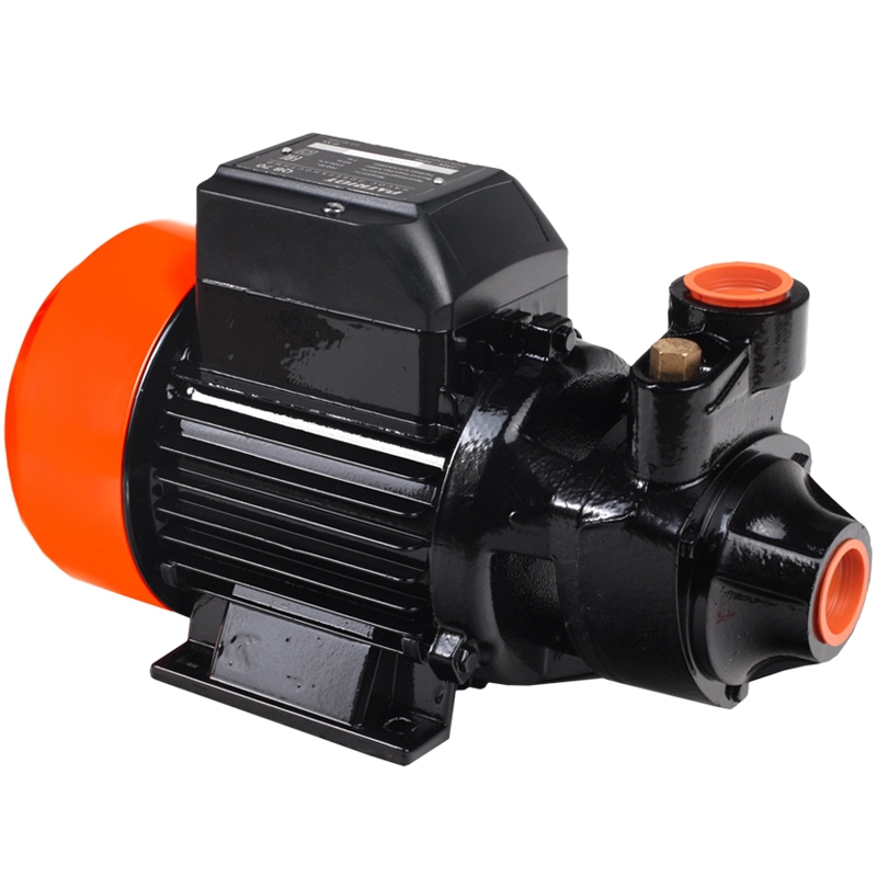 Насос вихревой для воды PATRIOT QB-80 для дачи и дома, 750Вт, 3000л*час